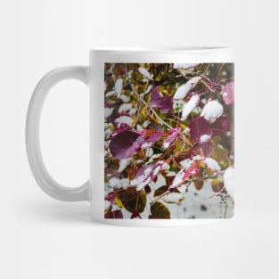 Autumn greets winter Mug